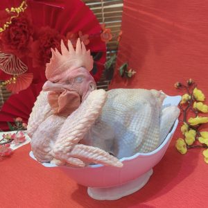 Gà Trống Lễ Buộc Cánh Tiên